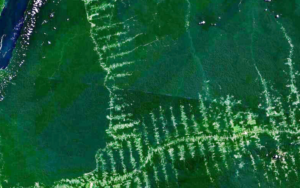 Satellite view of deforestation in the Amazon rainforest. The roads follow a 'fishbone' pattern.