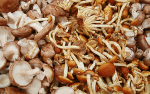 Look to locally cultivated Hazel Dell mushrooms — found at the Boulder County Farmers’ Market — to add depth to the flavor or your tomato sauce. 