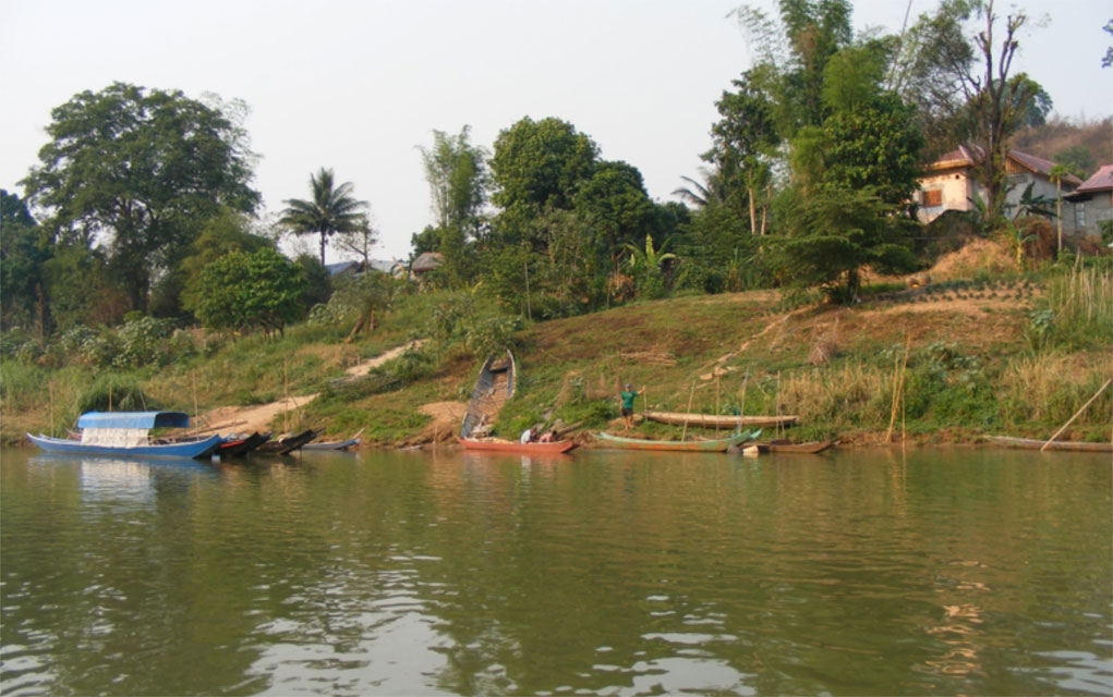 A small fish encampment on the Laos side of the river sits idle in the late afternoon as most of the fishing is done in the morning along the Mekong River. The Mekong School for Local Knowledge focuses heavily on research about the fish, their habitat and the ways of the fishermen along the river. By understanding the local knowledge, the school can influence decisions about the future of the river and help protect it from more dams. For example, the school has researched 93 fish species in the Mekong River, 83 of which are native, 10 non-native. Thirteen of the Mekong’s fish are officially “endangered,” including the world famous “Giant Catfish,” which can grow to over 200 kilograms. The operation of the Chinese dams upstream cause the river to be too cold, clear and deep in the dry season because they run the water out through the hydroelectric turbines at a steady and unnatural rate in order to generate electricity. This, in turn, has led to the endangerment of some of the fish. 