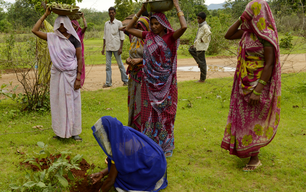 Women plant trees in the Umaria District of India. 