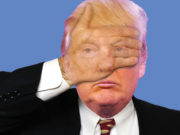 Fight the virus or just give up