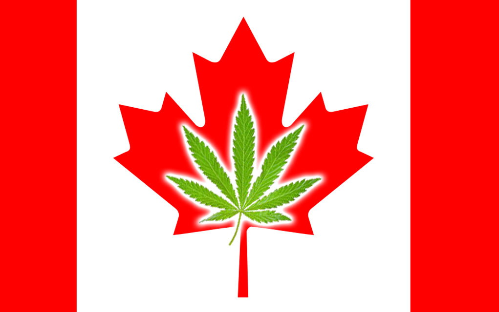 Image result for cannabis laws in Canada