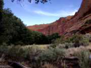 Quicksand and barbaric yawps